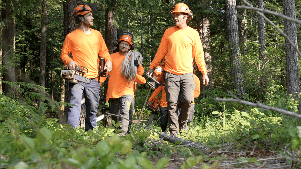 tree removal near you in parksville, qualicum beach, Clean Cuts Tree Services team walking through forested area